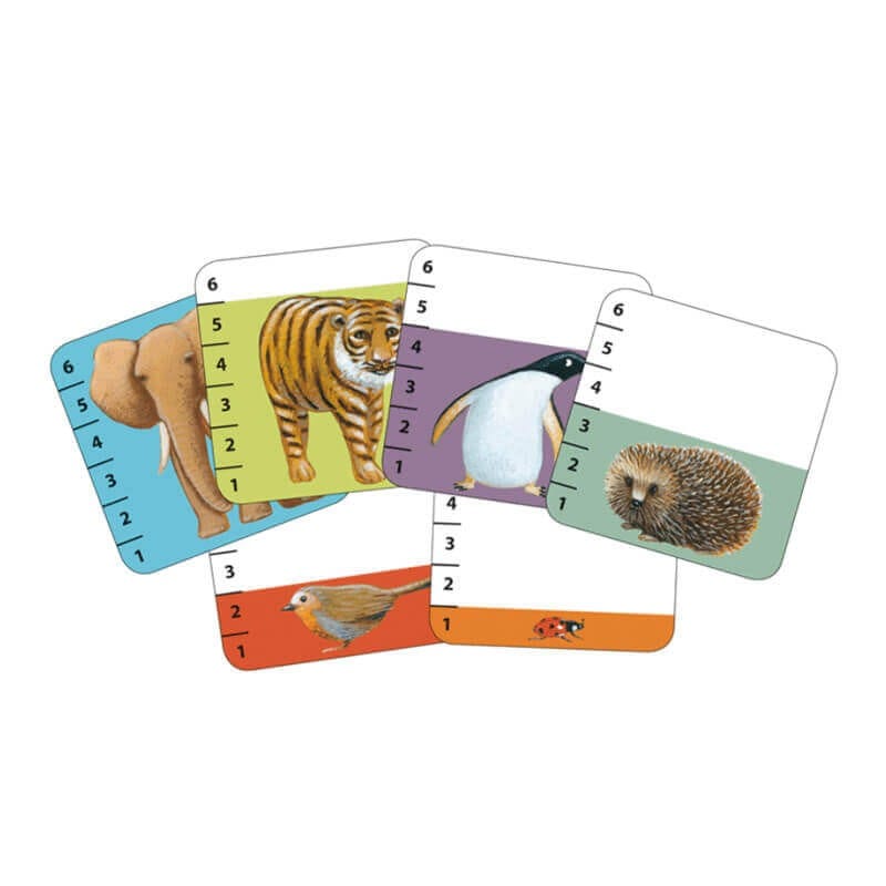 cartas batanimo djeco