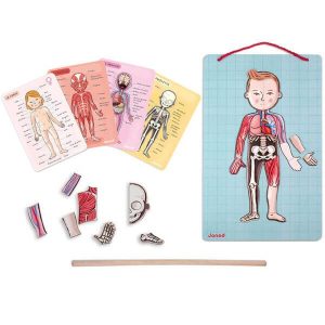 juego anatomia bodymagent janod
