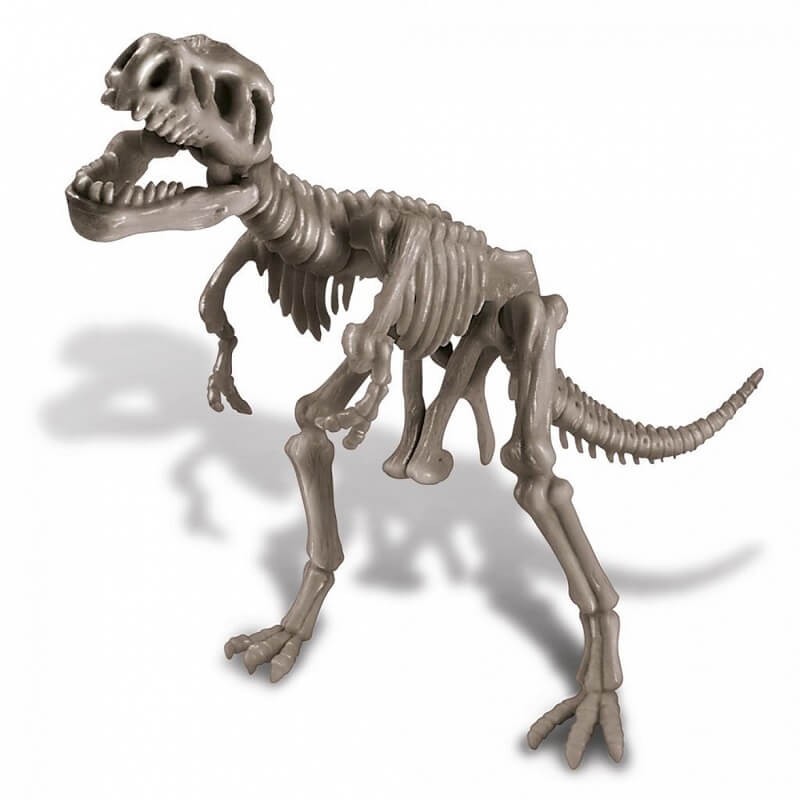 esqueleto tiranosaurio rex