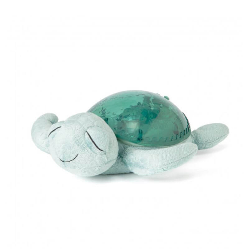 tortuga verde relajante