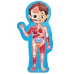 Puzzle Cuerpo Humano