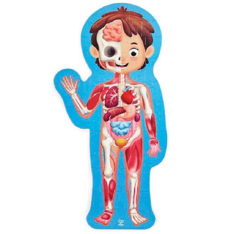 puzzle cuerpo humano hape