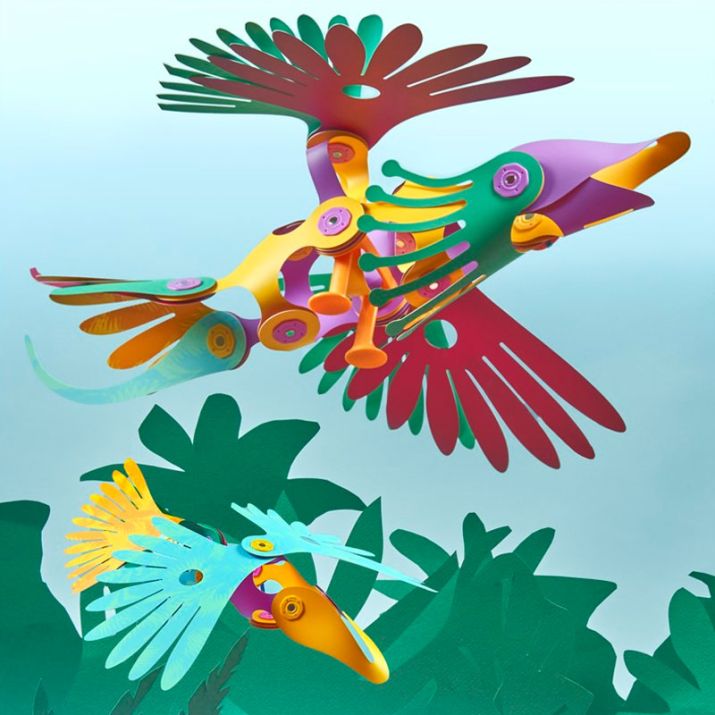 contenido tropical birds