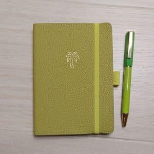 agenda palmera